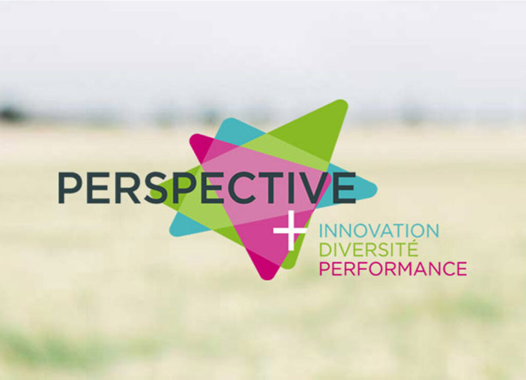 PerspectivePlus-LogoFond